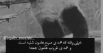 سلام‌ صبح‌ بخیر با ما همراه‌ باشید با جدیدترین‌ اخبار لحظه‌ای 9 آذرماه 1401.