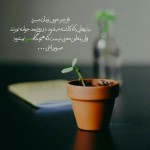 حواسمون باشه