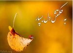 درود، با ما همراه باشید با جدیدترین اخبار لحظه ای 12 مهرماه 1402