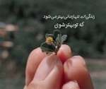درود، با ما همراه باشید با جدیدترین اخبار لحظهای 1 شهریور ماه 1402