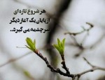 درود، با ما همراه باشید با جدیدترین اخبار لحظه ای 15 تیرماه 1402.