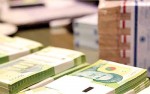 مهار موج مکزیکی قیمت‌ها