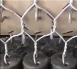 تولید توری گابیون